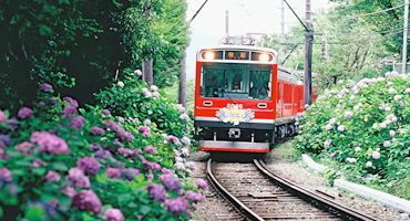 Hakone Tozan Line Hakone Tozan Train Hakone tozan cablecar