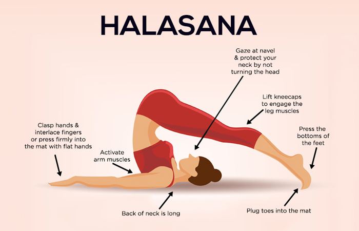 Halasana How To Do The Halasana And What Are Its Benefits