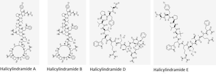 Halicylindramide