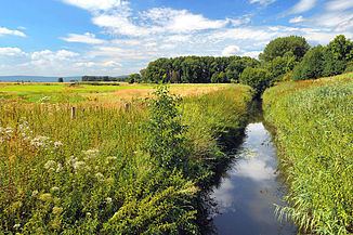 Haller (river) httpsuploadwikimediaorgwikipediacommonsthu