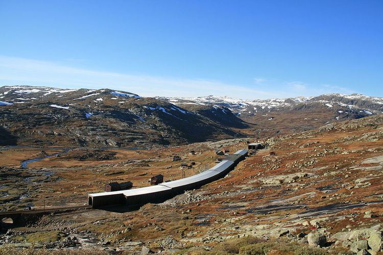 Hallingskeid Station