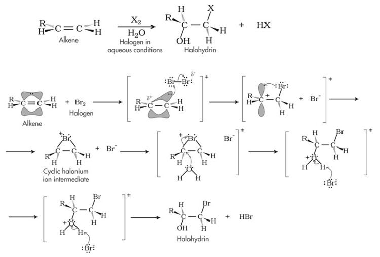 Halohydrin Organic Mechanisms with Biochem Examples