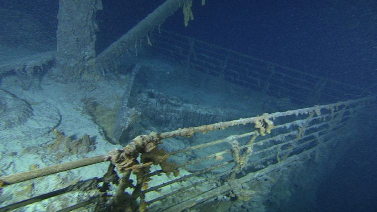 Halomonas titanicae New life form discovered on the Titanic Toronto Star
