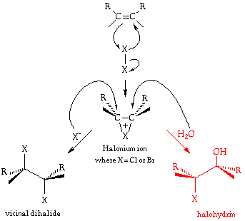 Halonium ion Organic Chemistry I Halonium Ion Intermediate