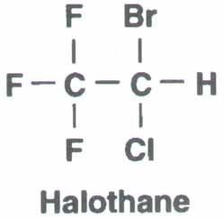 Halothane Inhalational Anesthesia Halothane