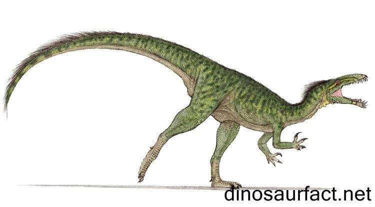 Halticosaurus Halticosaurus dinosaur