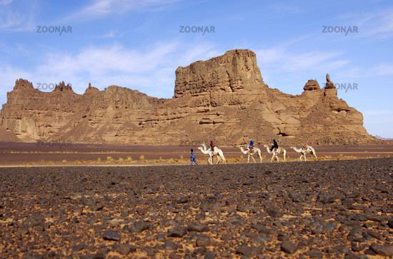 Hamada Photo Caravan in the Hamada desert Image 259780