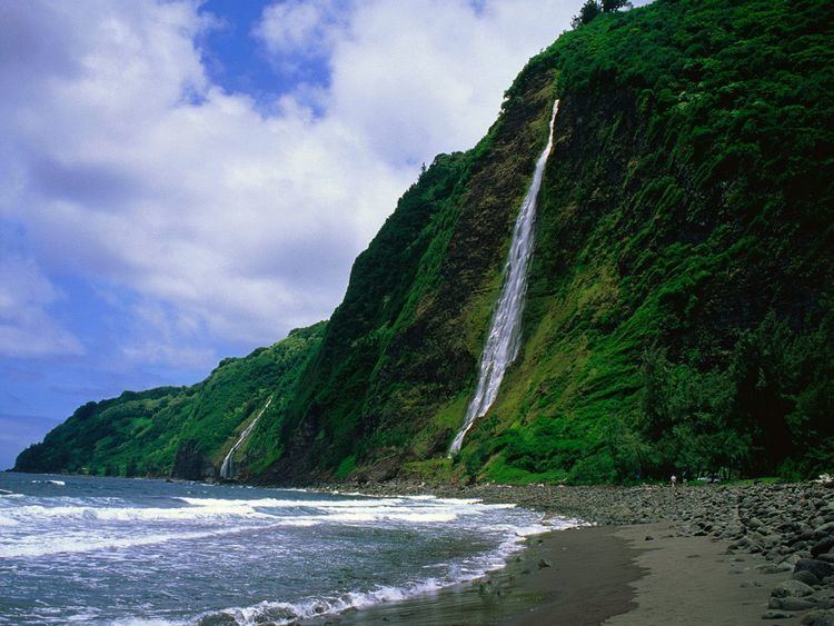 Hamakua Paradise Found Hamakua Coast Big Island Real Estate