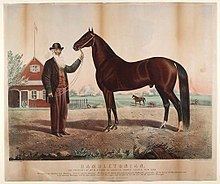 Hambletonian 10 httpsuploadwikimediaorgwikipediacommonsthu