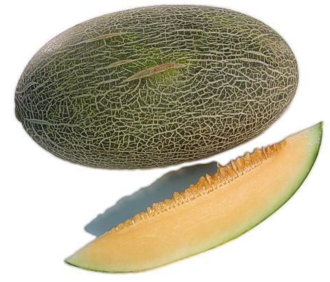 Hami melon The Produce Guide Hami Melon
