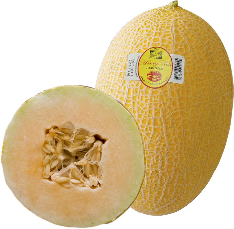 Hami melon Mad about Melons Cynthia David