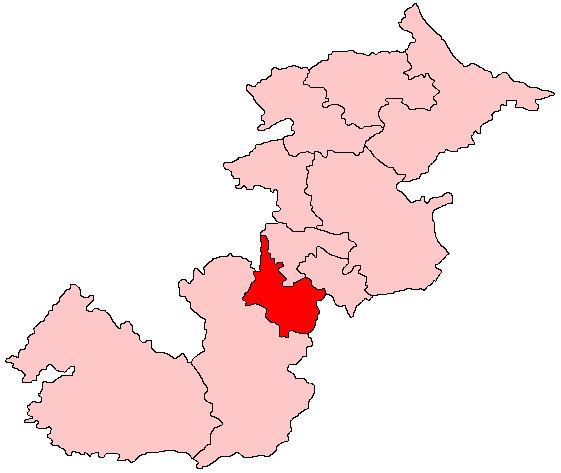 Hamilton South (Scottish Parliament constituency)
