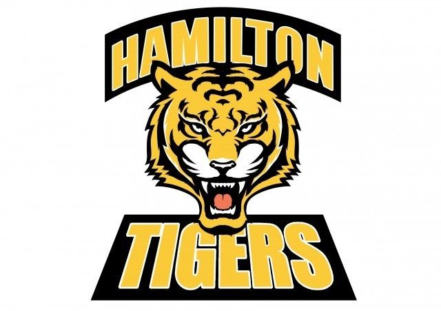 Hamilton Tigers Hamilton Minor Ball Hockey League Powered by Sports Illustrated Play