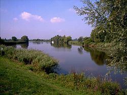 Hamme (river) httpsuploadwikimediaorgwikipediacommonsthu