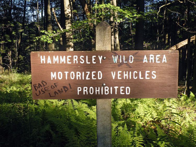 Hammersley Wild Area