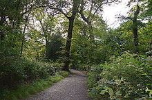 Hampstead Heath Woods httpsuploadwikimediaorgwikipediacommonsthu