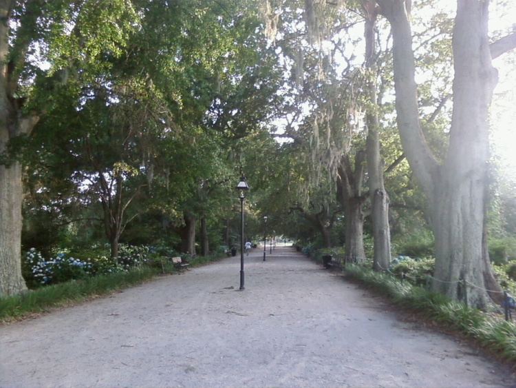 Hampton Park (Charleston)