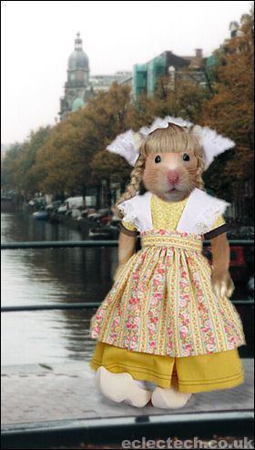 Hamsterdam greetings from hamsterdam