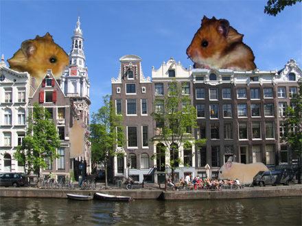 Hamsterdam Hamsterdam Uncyclopedia the contentfree encyclopedia