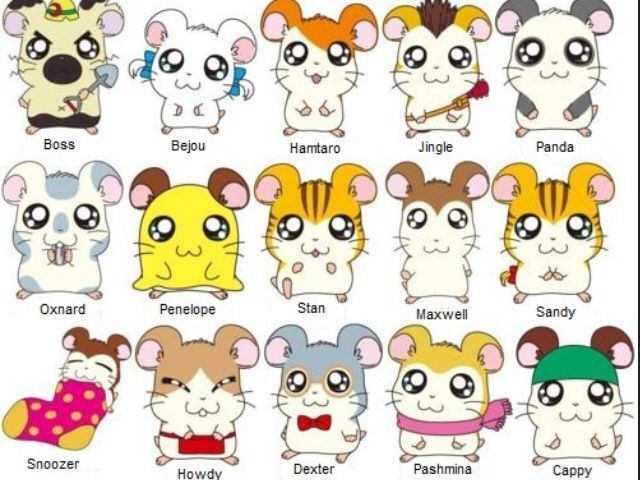 Hamtaro 1000 images about Hamtaro on Pinterest Remember this