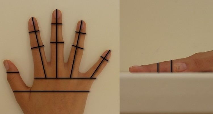 Hand geometry