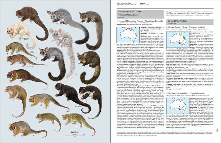 Handbook of the Mammals of the World Handbook of the Mammals of the World Volume 5 Lynx Edicions