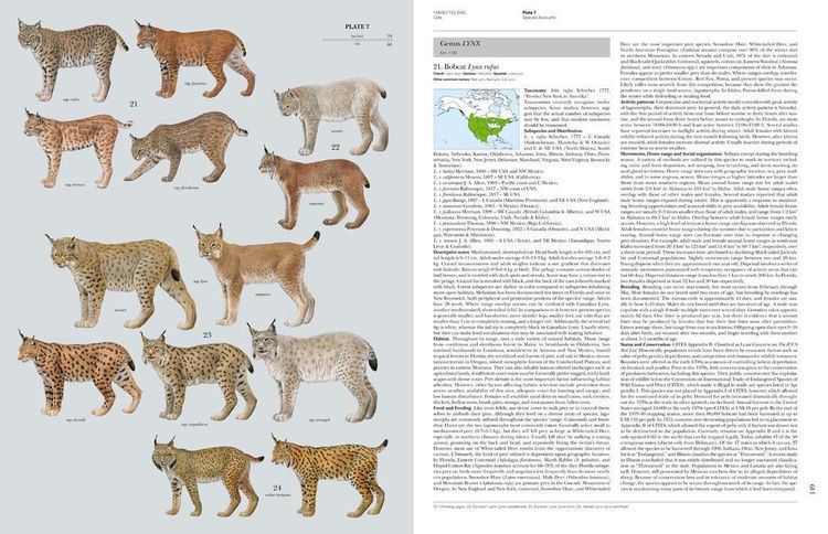 Handbook of the Mammals of the World Handbook of the Mammals of the World Volume 1 Lynx Edicions