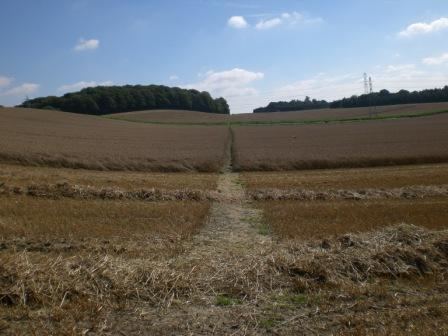 Hangers Way Ordnance Survey Blog Walk of the week The highs and lows of the