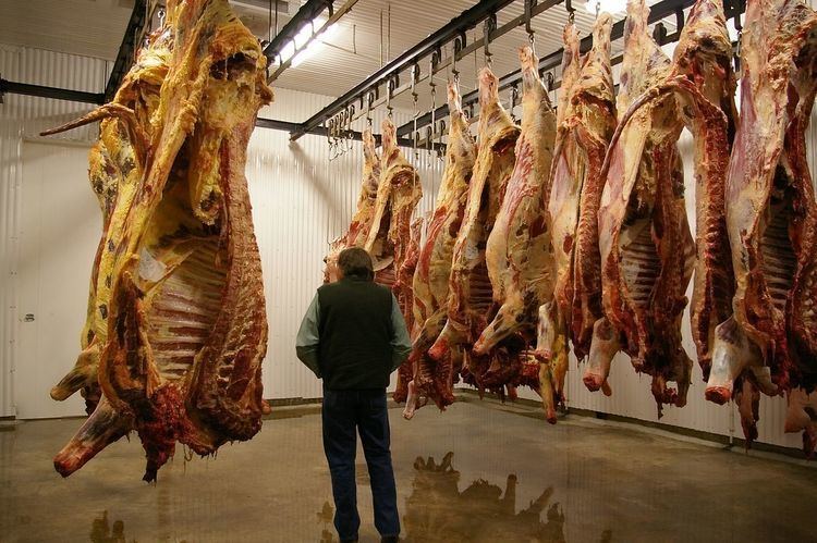 Hanging (meat)