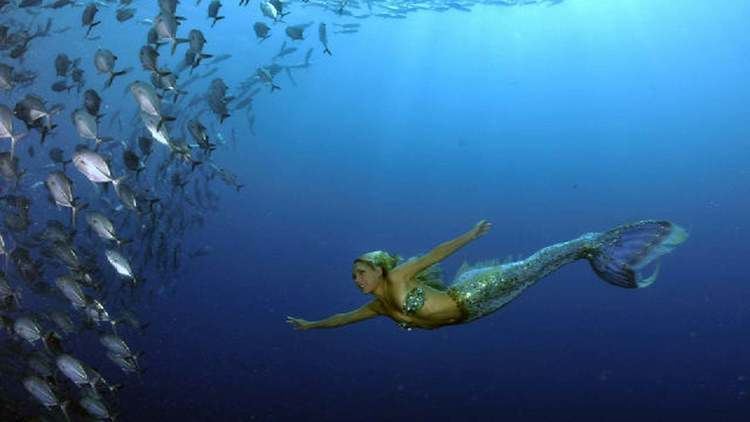 Hannah Mermaid Hannah Mermaid swims Bali shipwreck on Vimeo