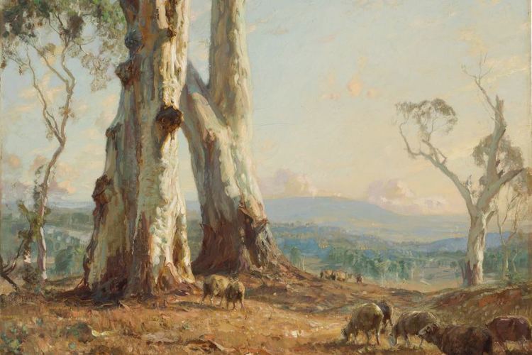 Hans Heysen Hans Heysen39s Morning light 1913 ABC News Australian