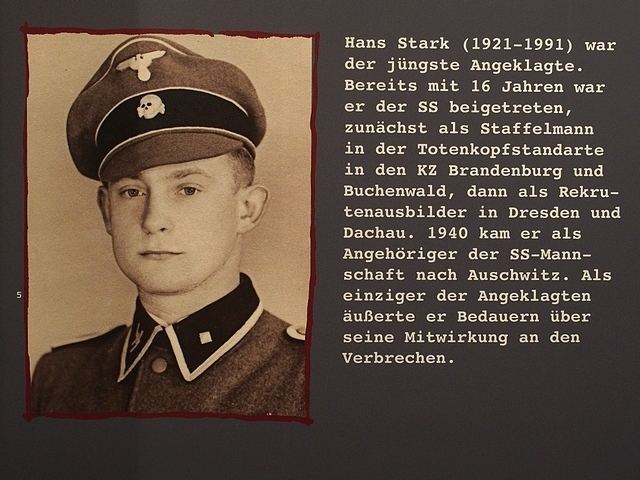 Hans Stark Ein Darmstdter geht mit 16 Jahren zur SS Verwickeltes