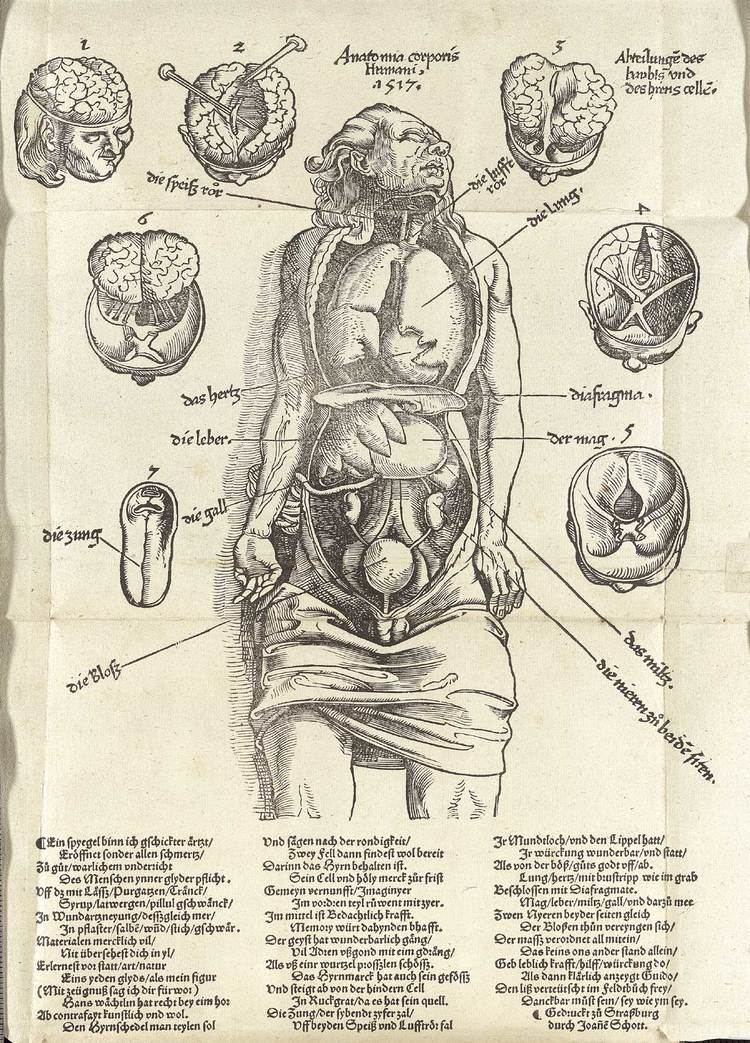 Hans von Gersdorff Historical Anatomies on the Web Hans von Gersdorff Home