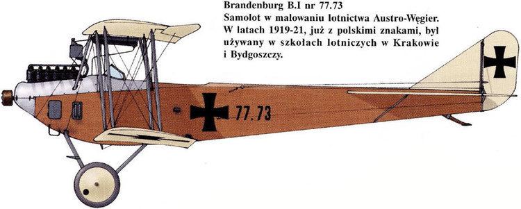 Hansa-Brandenburg B.I WINGS PALETTE HansaBrandenburg BICI AustriaHungary