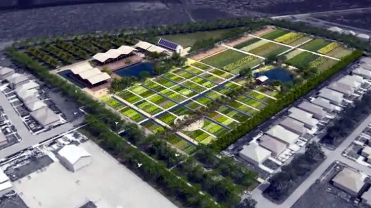 Hantz Woodlands 150 Acres Of Detroit Set to Become Huge Urban Farm
