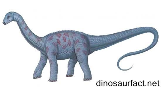 Haplocanthosaurus Haplocanthosaurus dinosaur