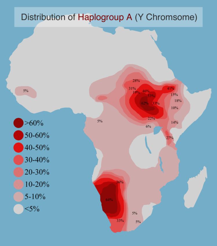 Haplogroup A (Y-DNA)