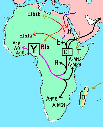 Haplogroup B-M60