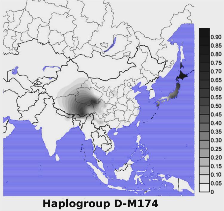 Haplogroup D-M174