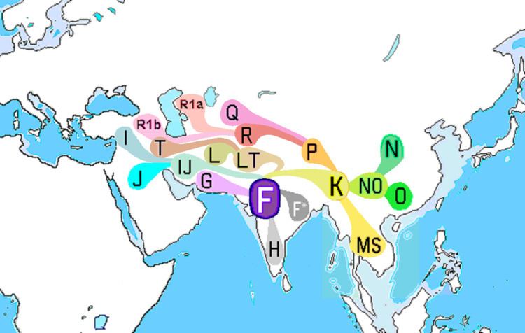 Haplogroup F-M89