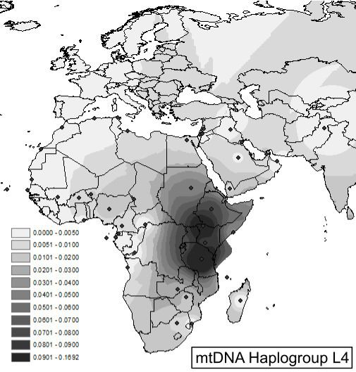 Haplogroup L4 (mtDNA)
