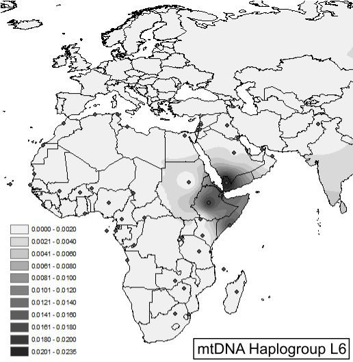 Haplogroup L6 (mtDNA)