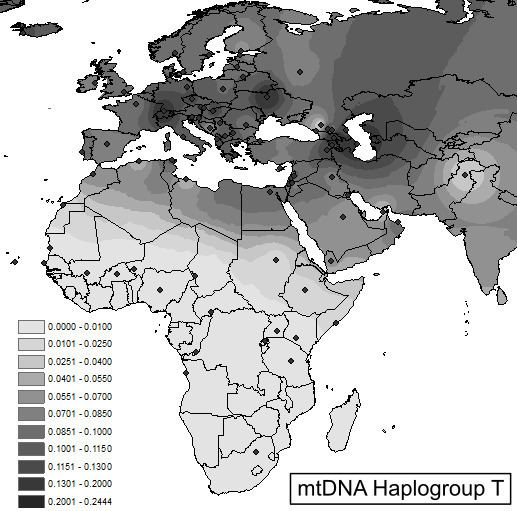 Haplogroup T (mtDNA)