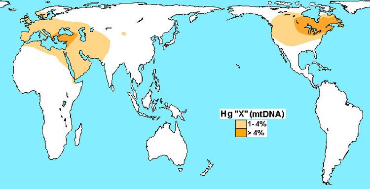 Haplogroup X (mtDNA)