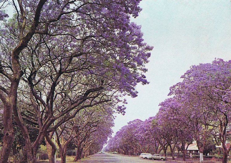 Harare in the past, History of Harare