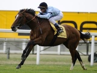 Harbinger (horse) bettingbetfaircomhorseracingHarbingerKingGeor