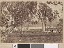 Harcourt, Victoria httpsuploadwikimediaorgwikipediacommonsthu