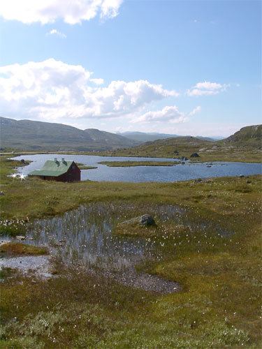 Hardangervidda