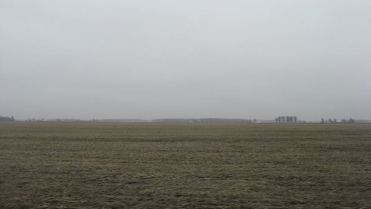 Hardin County onion pickers strike