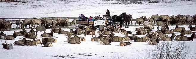 Hardware Ranch GC6KBD4 Utah GeoTourCacheHardware Ranch Letterbox Hybrid in Utah